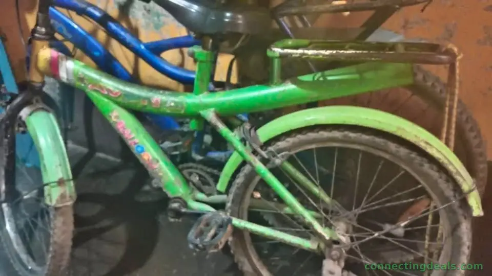 Old Cycle