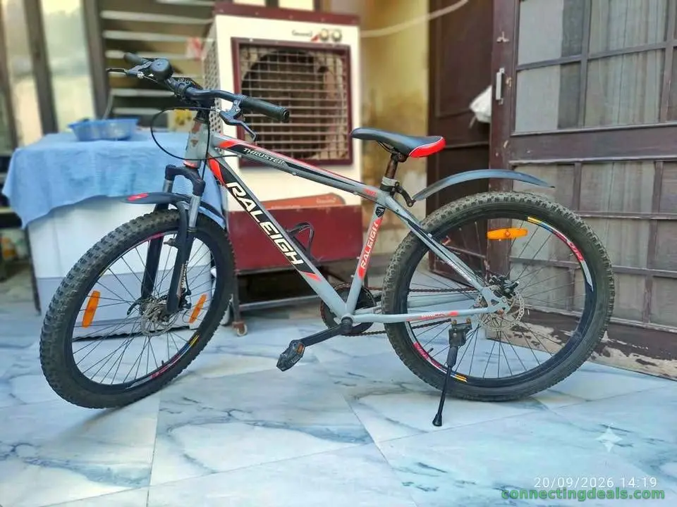 Raleigh Thruster Cycle