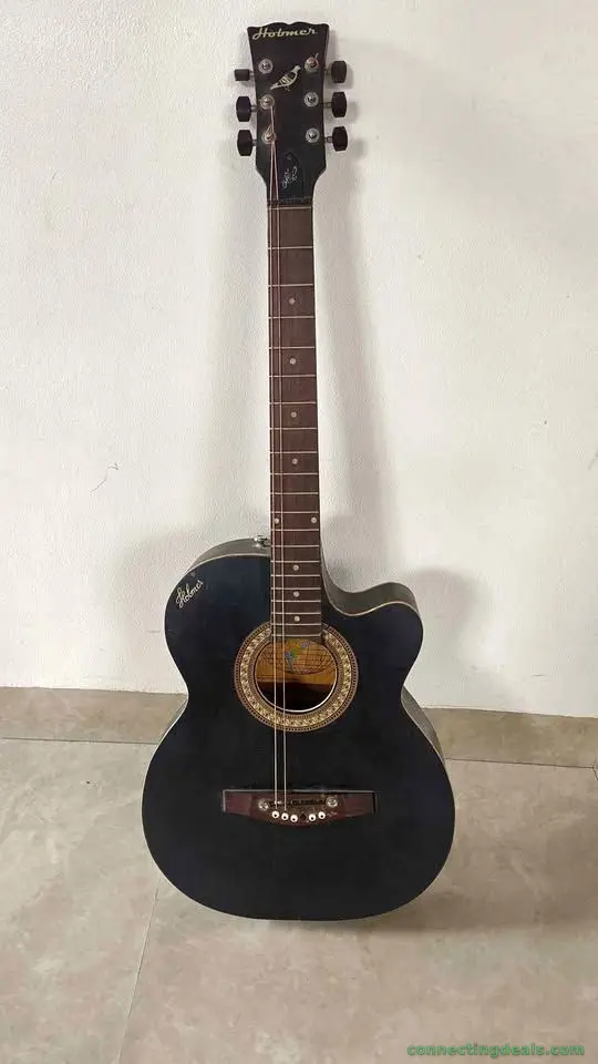 Holmer acoustic electric guitar for sale