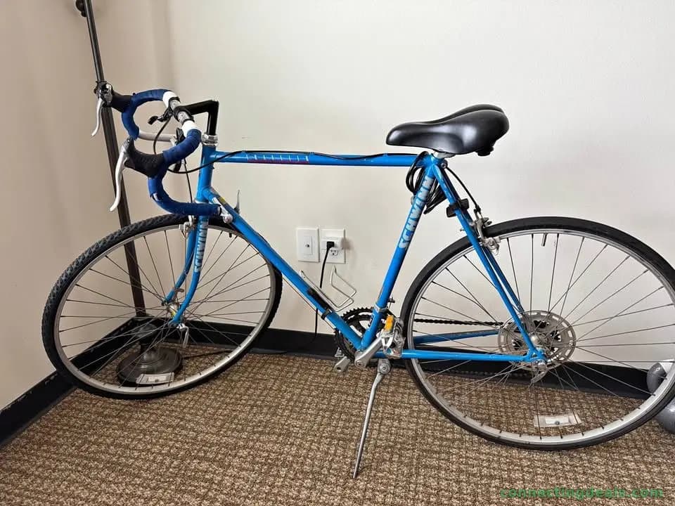 Schwinn Traveler Road Bike