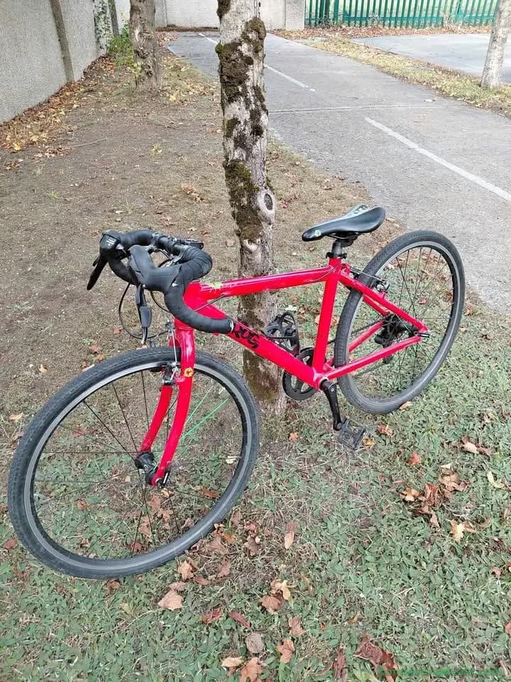 Frog racer bike 67