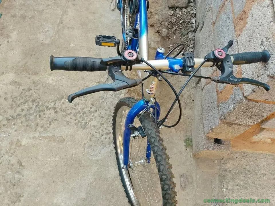 Bike well looked after