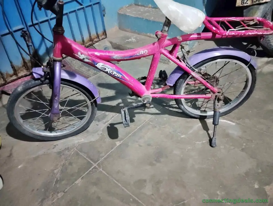 Bicycle