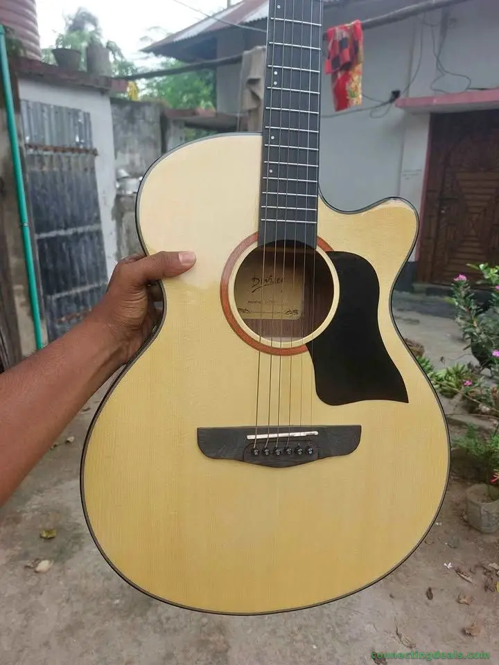 Deviser L770 Acoustic Guitar