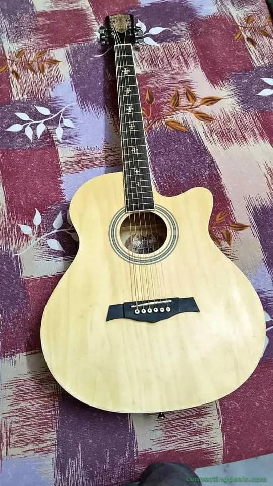 Guitar