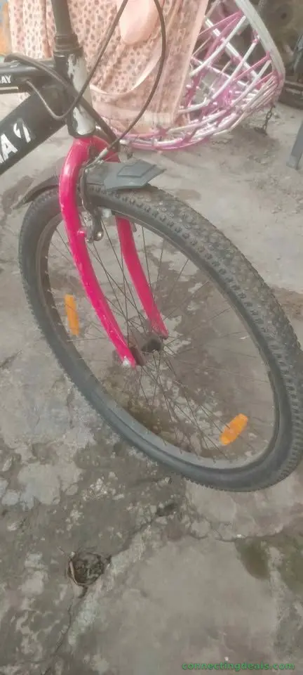 Alpha big cycle new used 6 month