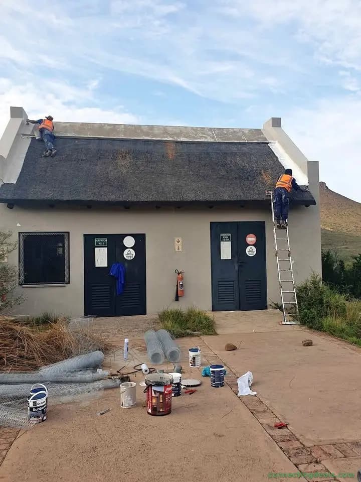Thatch Repairs