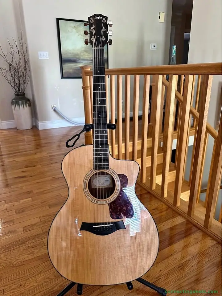 Acoustic Guitar
