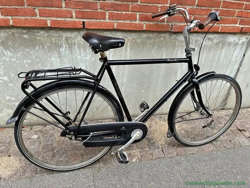 Batavus Bike