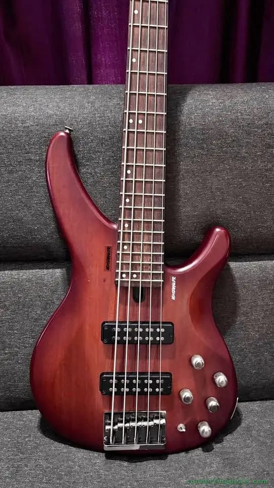 Bass guitar