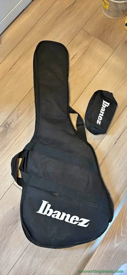 Ibanez electric guitar