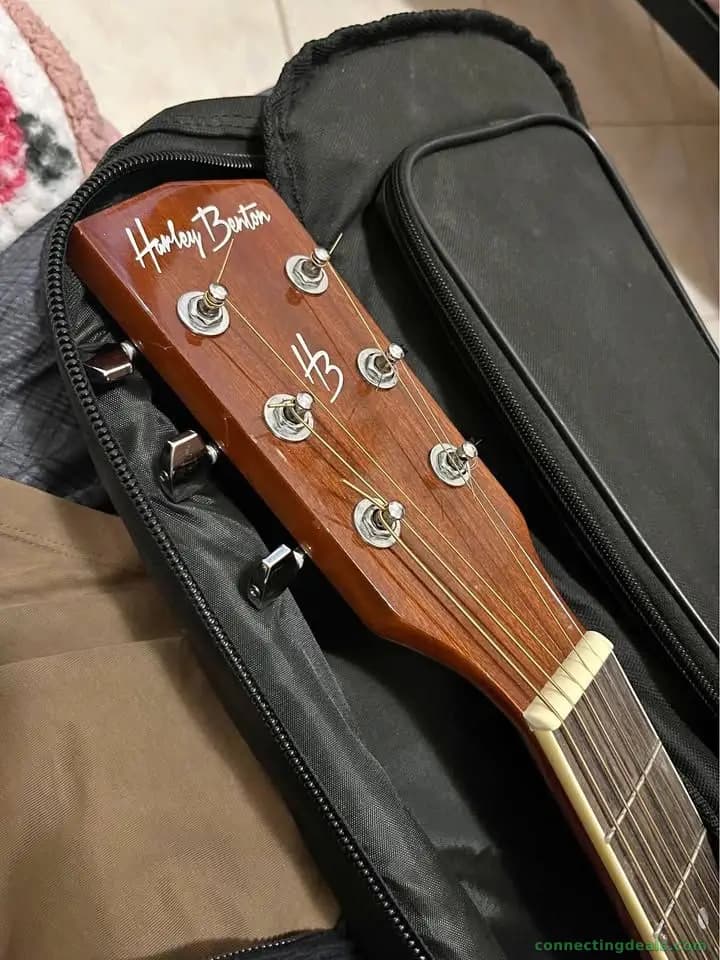 Guitar, harley benton