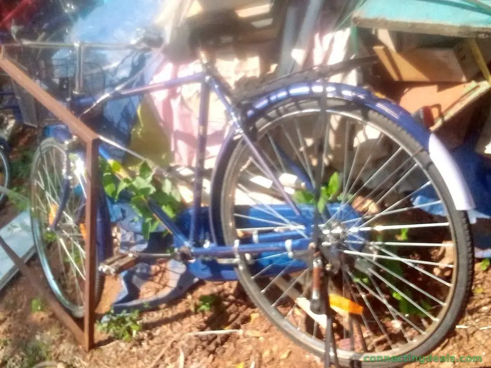 Vintage Style Commuter Bicycles