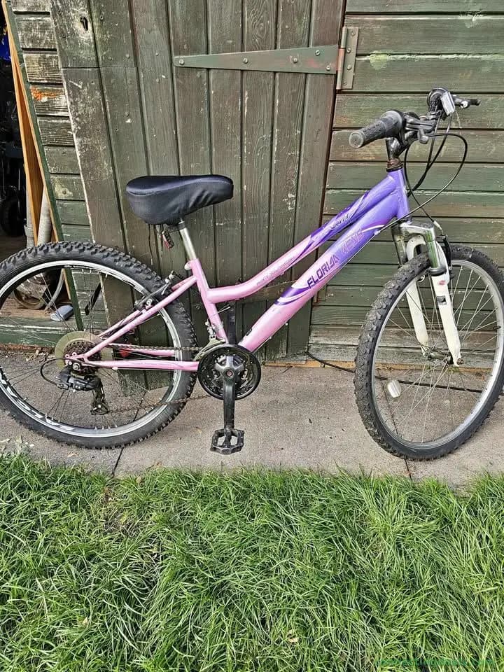 Ladies pink bike still for sale purple and pink