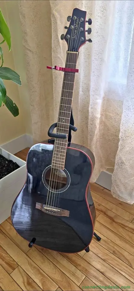 I will sell a guitar