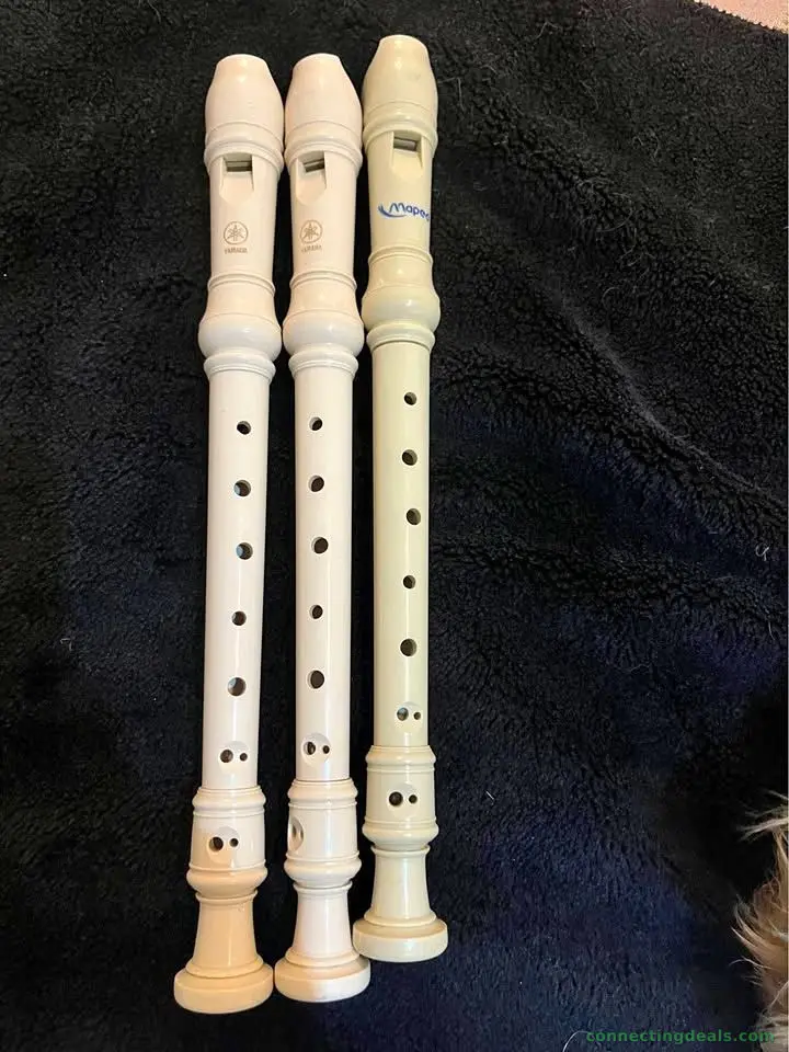Music instrument (recorde)