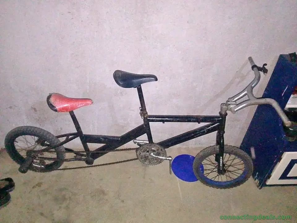 Double bike π² - Image 1