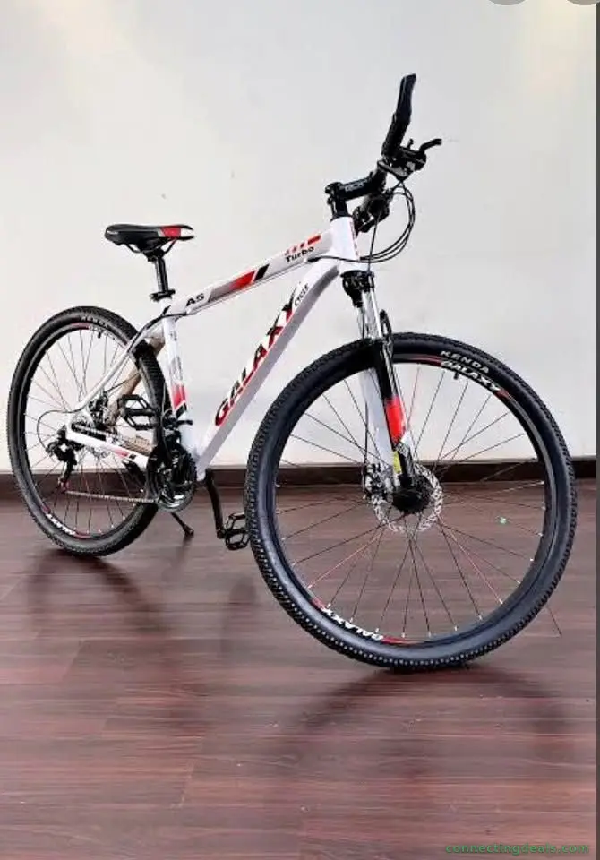 Galaxy bike