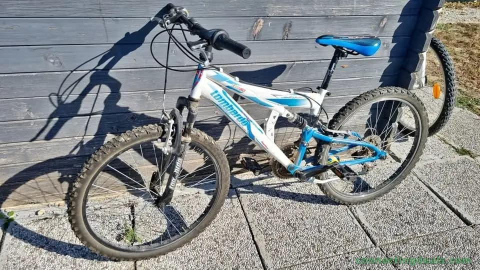 Mountain Bike bambino 24
