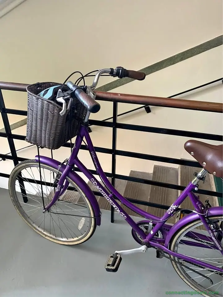 Ladies Bicycle