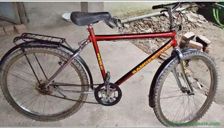 Bicycle