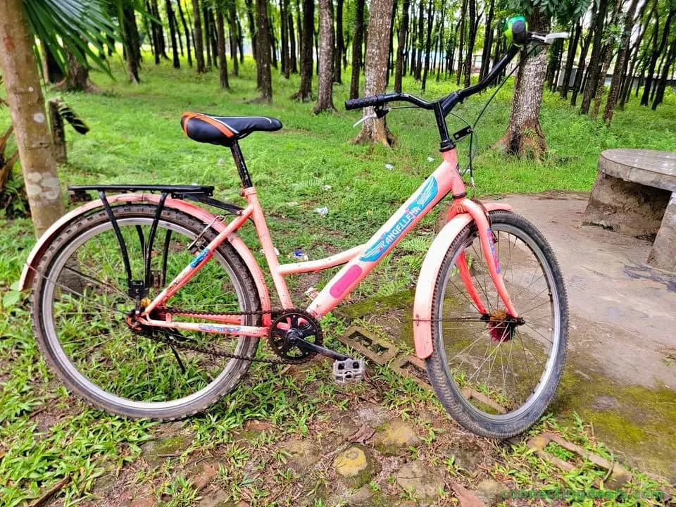 Cycle for sale