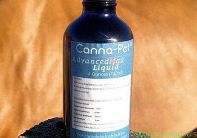 120ml-liquid-Canna-Pet-Max-for-horses-1-1