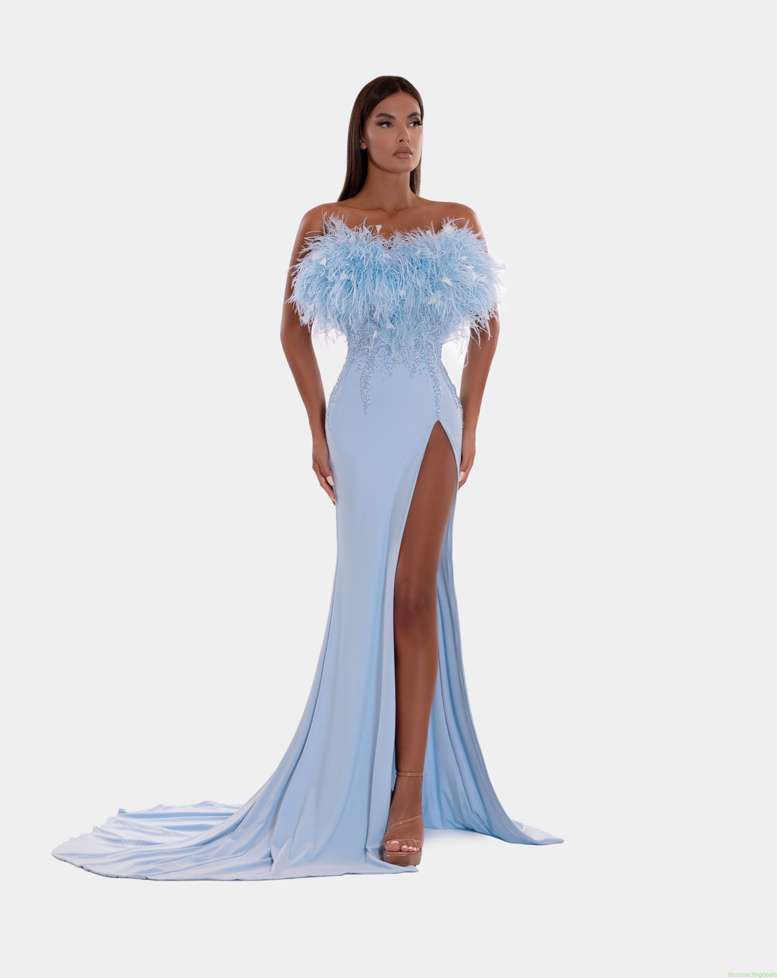 BLUE FEATHERS CORSET