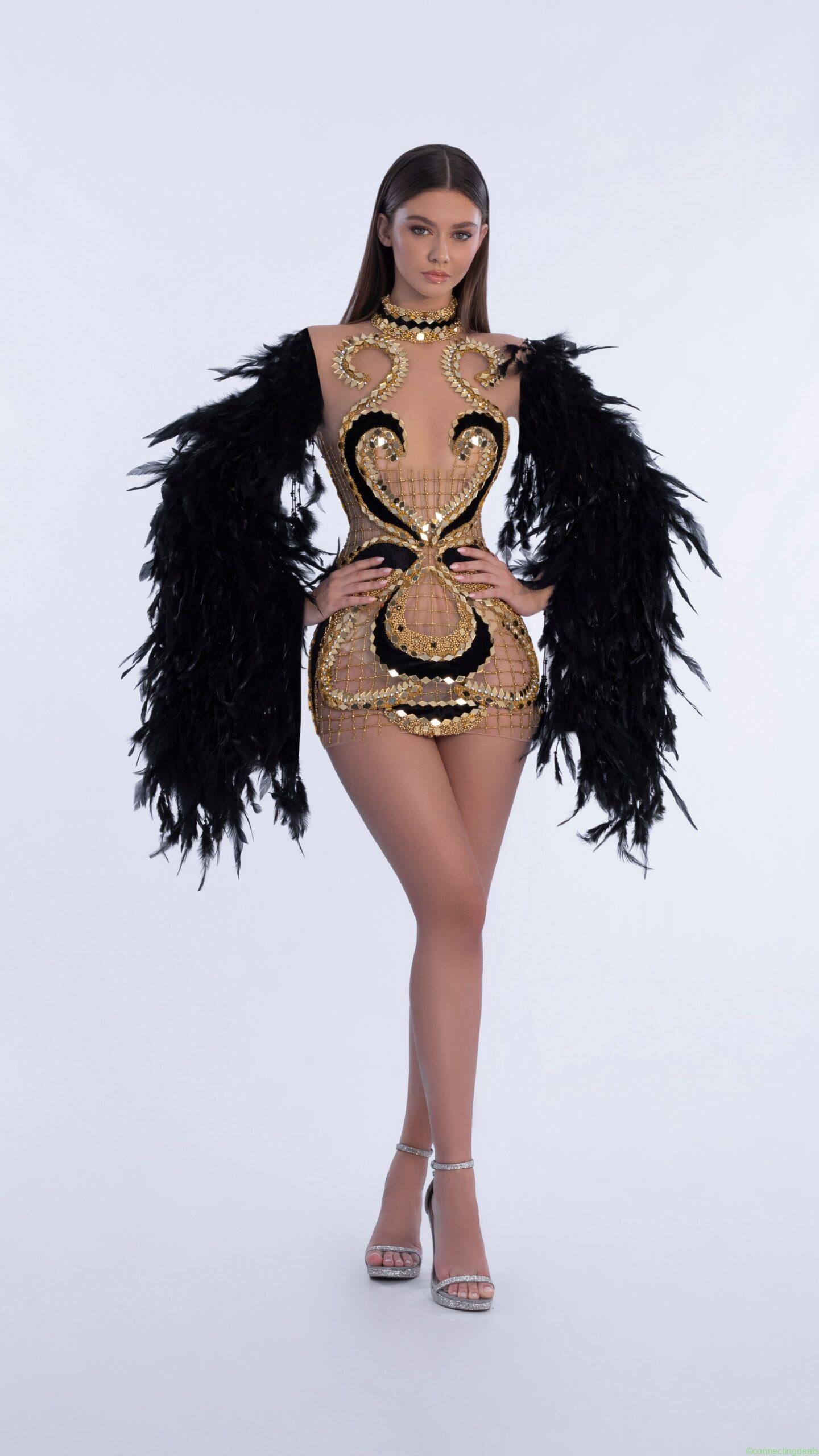 Feather And Embroidered Dress