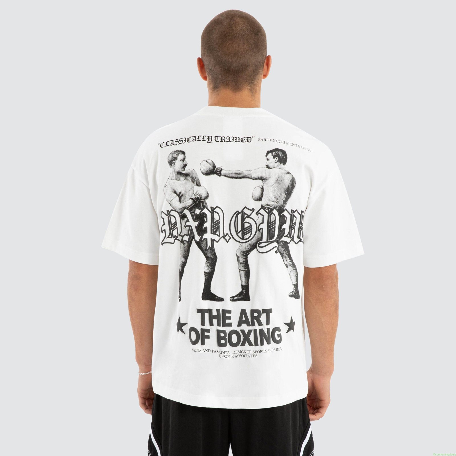 Art Box Raptor Tee Natural White