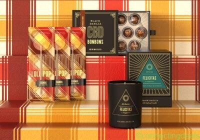 comfort-and-joy-on-plaid-scaled-3