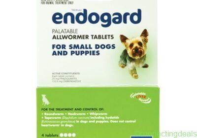 endogard-for-small-dogs-11lbs-1600