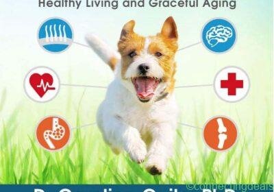 hemp-science-for-dogs-1