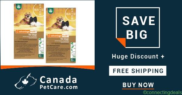 Grand Sale on Flea & Heartworm Treatment + Free