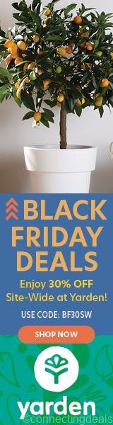 YDN-2024-BF-30Off 160 x 600