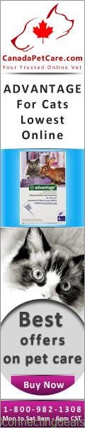 CPC US Advantage Cats