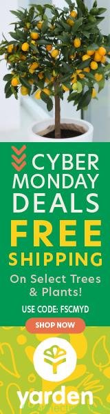 YDN-2024-CM-FreeShip 160 x 600