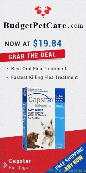 Buy Cheap Capstar Flea for Small Dogs Online