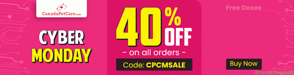 Cyber Monday 40% OFF Sale + Free Shipping 2025