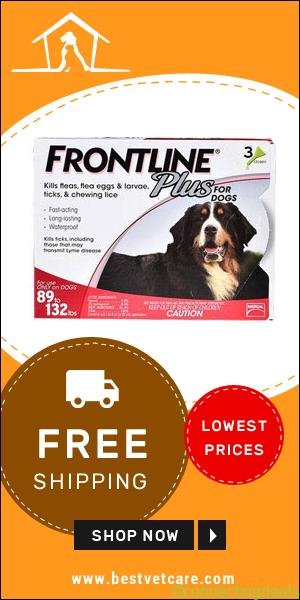 Buy Frontline Plus Online at Only $9 08 per Dose