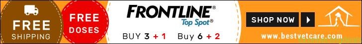 Buy Cheap Frontline Top Spot Online at Only $6