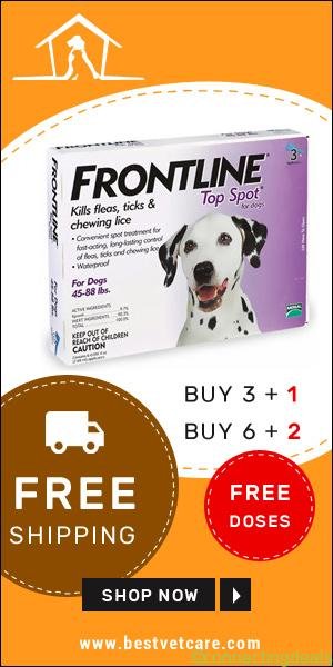 Buy 3, Get 1 Pipette Free & Buy 6, Get 2 Free