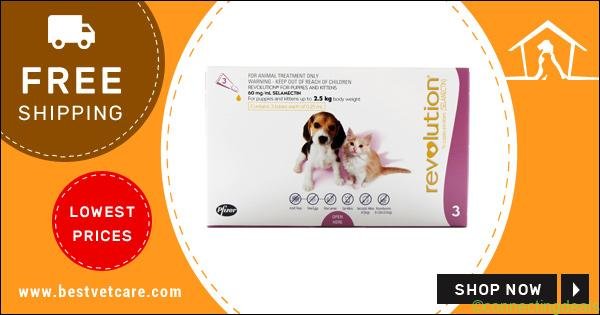 Revolution Heartworm Preventive Treatment at