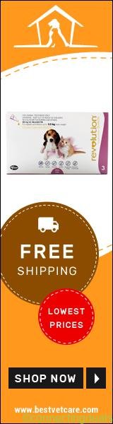 Buy Cheap Revolution Online at $11 99 Per Dose +