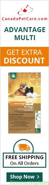 Flea & Heartworm Treatment at Extra 10% Discount