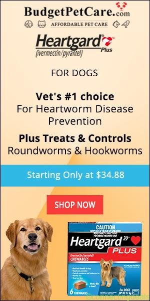 Heartgard Plus Chewables for Dogs Online