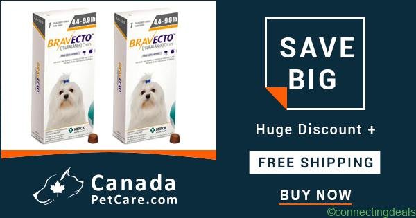 Buy Cheapest Bravecto Online Now & Get Extra 10%