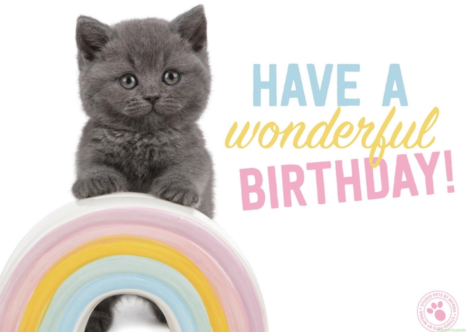 Studio Pets Verjaardagskaart Dieren Large