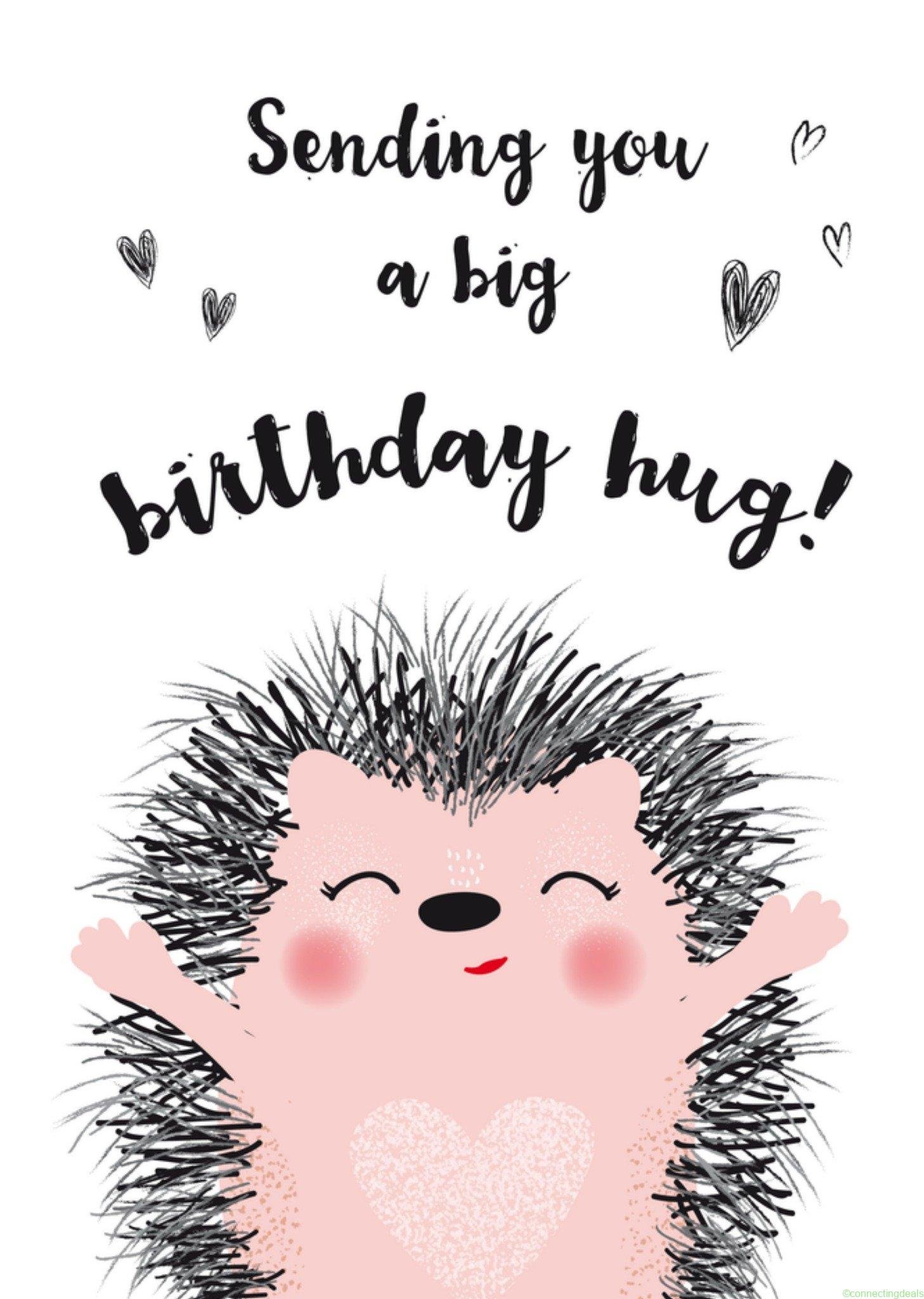 Tsjip Verjaardagskaart Birthday hug Egel