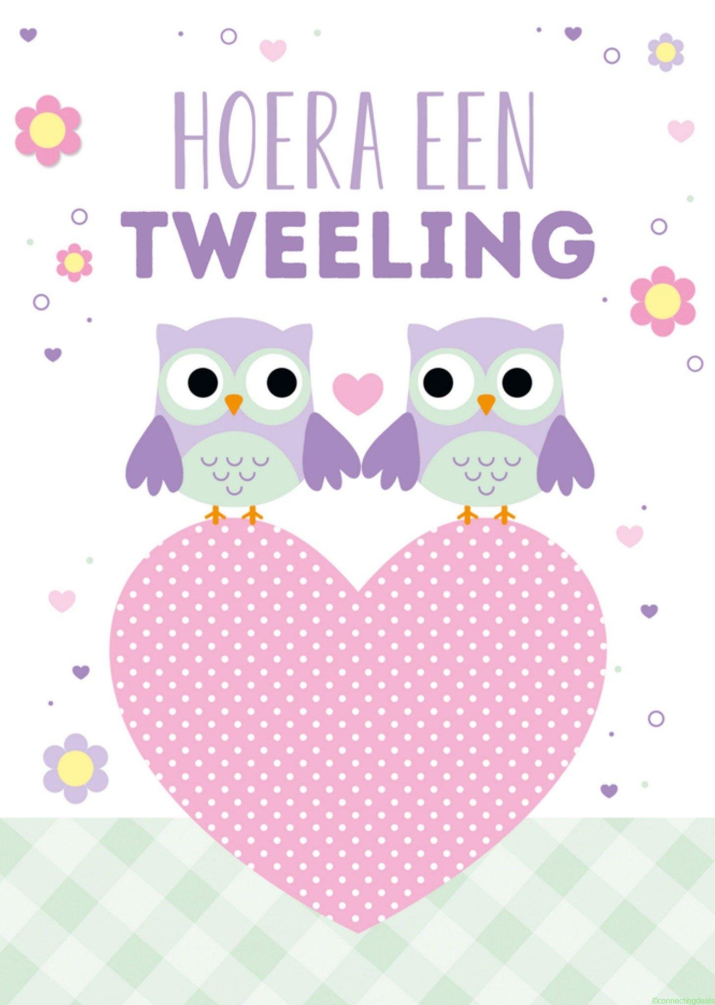 TMS Geboortekaart Tweeling Uiltjes